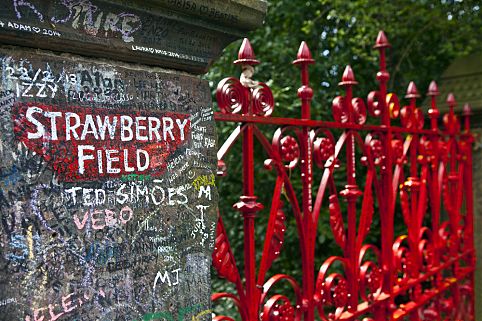 Strawberry Field