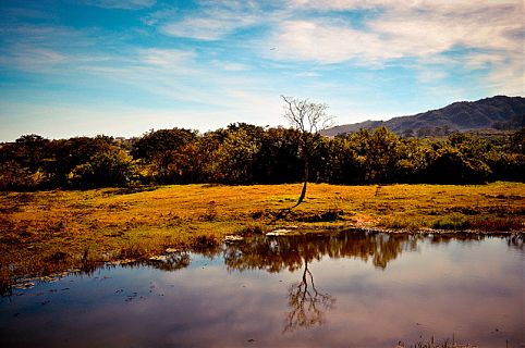 Seguimos os trilhos da Maria Fumaça para montar o roteiro abaixo. Escolha o seu e embarque 