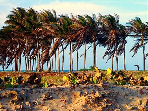 O Nordeste é a região mais procurada por turistas brasileiros