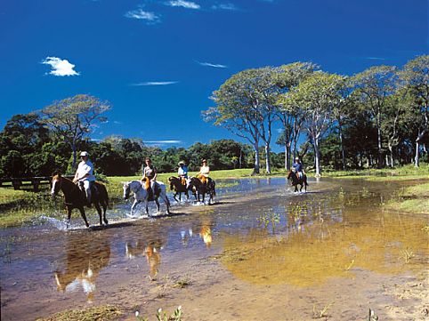 Aproveite o período de seca para observar a rica fauna do Pantanal