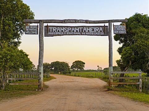 Aproveite o período de seca para observar a rica fauna do Pantanal