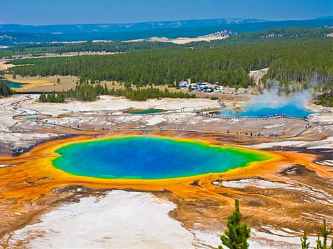 Os parques nacionais dos Estados Unidos atraem pelas paisagens de geografia caprichosa, rica fauna, flora e até lava vulcânica. Siga a nossa seleção