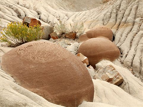 Os parques nacionais dos Estados Unidos atraem pelas paisagens de geografia caprichosa, rica fauna, flora e até lava vulcânica. Siga a nossa seleção