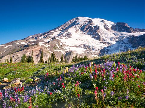 Os parques nacionais dos Estados Unidos atraem pelas paisagens de geografia caprichosa, rica fauna, flora e até lava vulcânica. Siga a nossa seleção