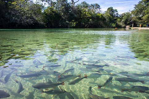 Bonito , Mato Grosso