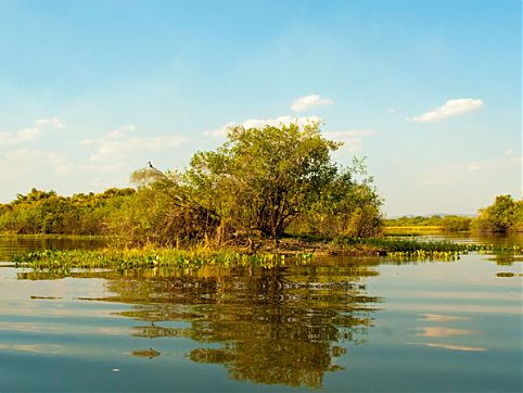 Pantanal, Mato Grosso