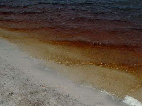 Descubra as surpreendentes praias potiguares com o nosso roteiro