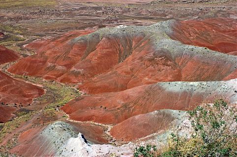 O que fazer - Arizona