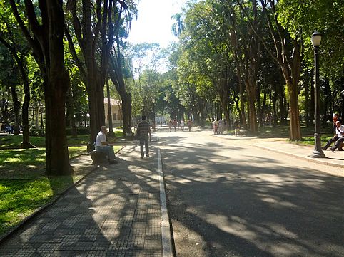 Mapeamos as áreas naturais que existem, acredite, em meio aos caminhos de concreto da cidade 