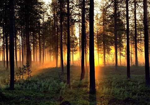 Sem crepúsculo total, cidades próximas ao círculo polar ártico não precisam acender as luzes