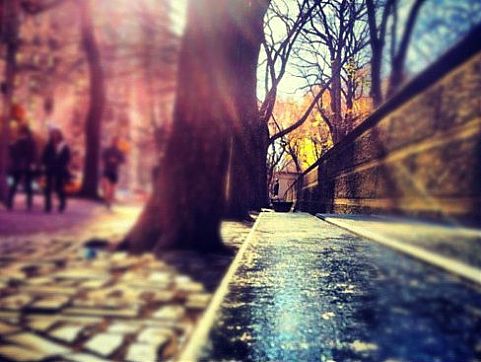 central-park.jpg