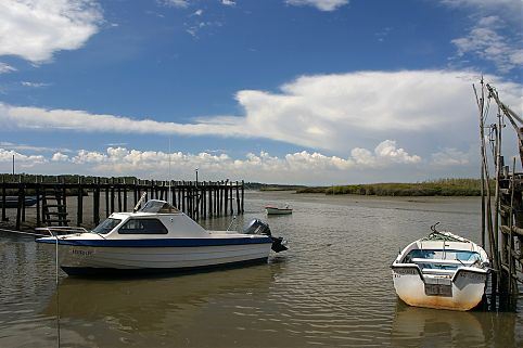 Estuario do Sado 