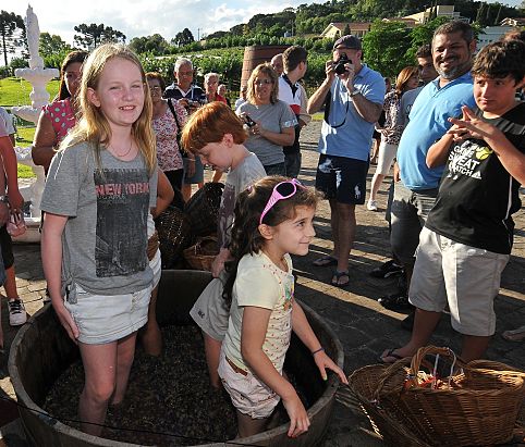 Festa da colheita da uva atrai turistas para o Vale dos Vinhedos no Rio Grande do Sul