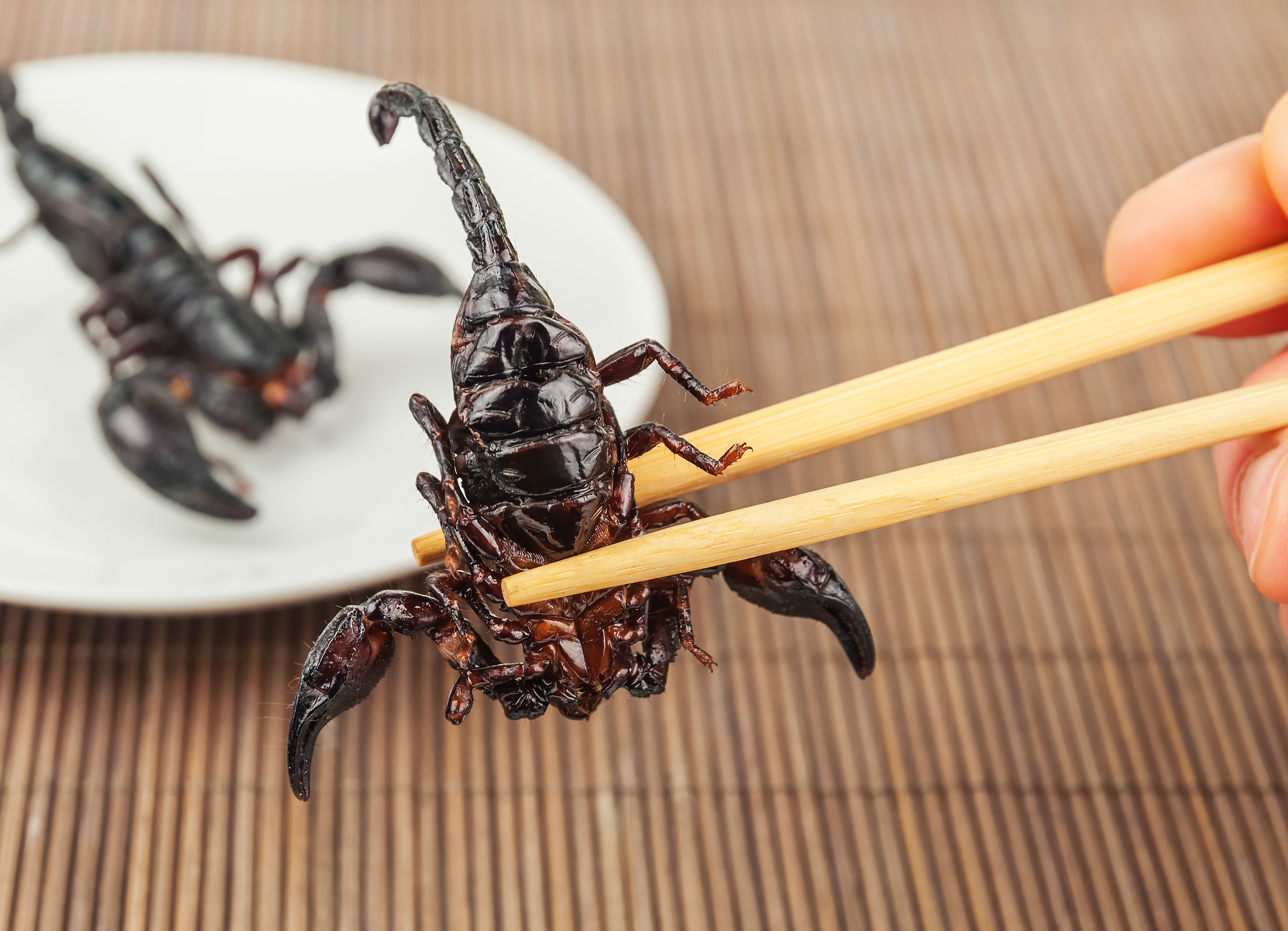 6 pratos exóticos para comer antes de morrer