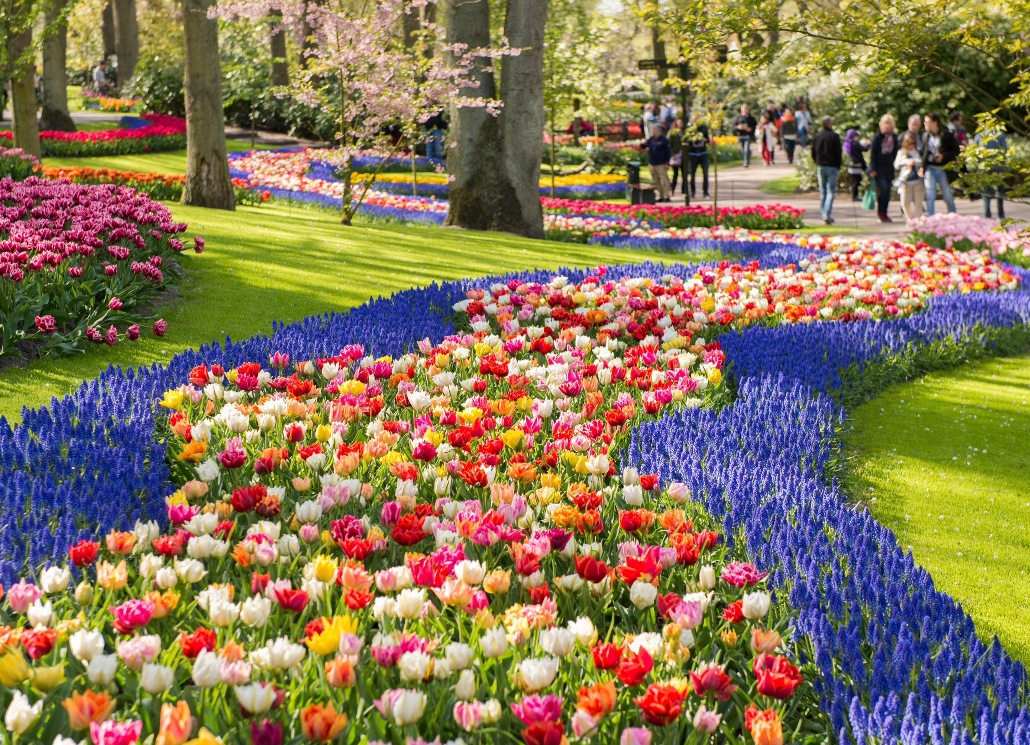 Os jardins mais bonitos do mundo