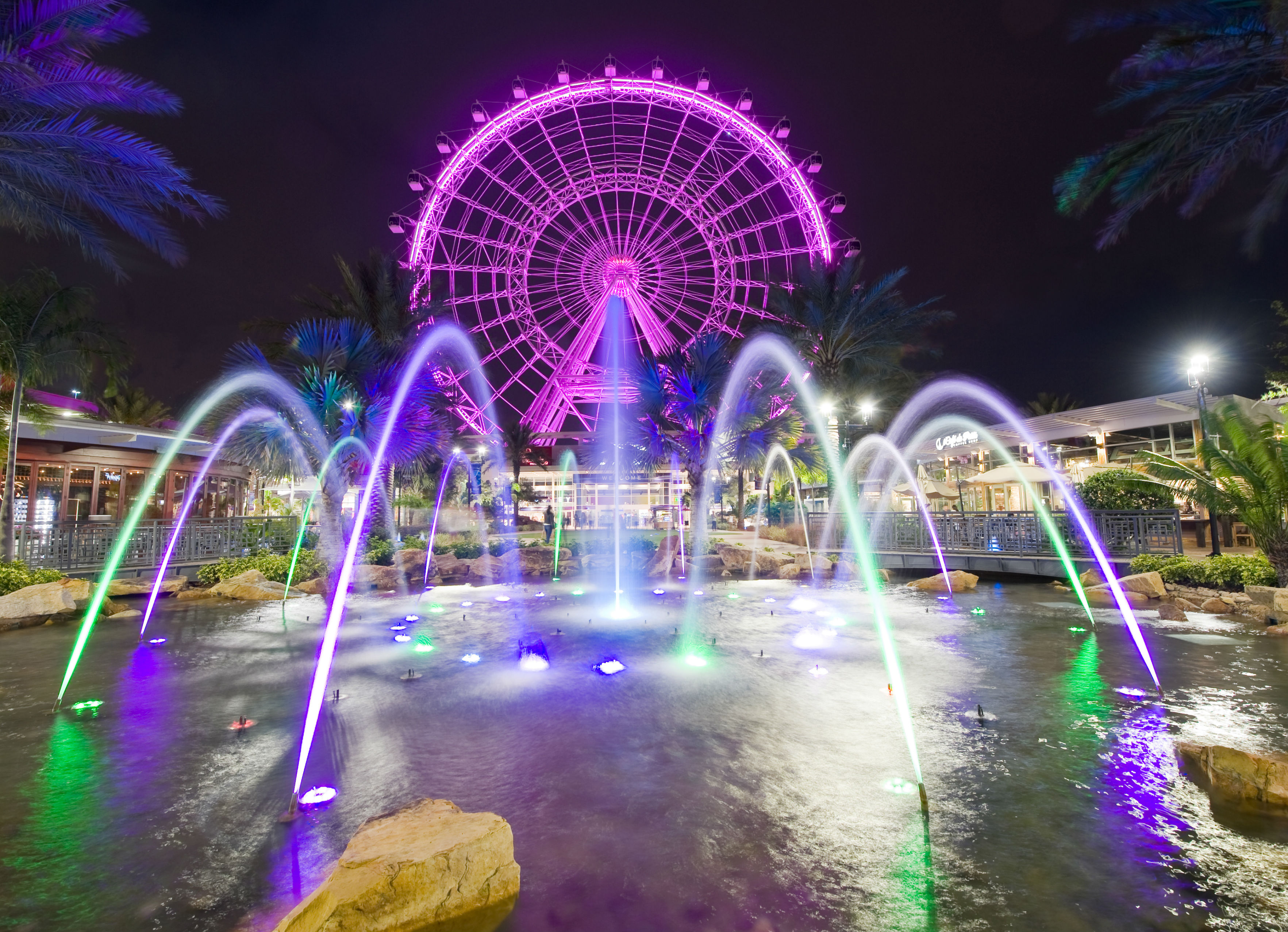 Tour cultural pela terra do Mickey