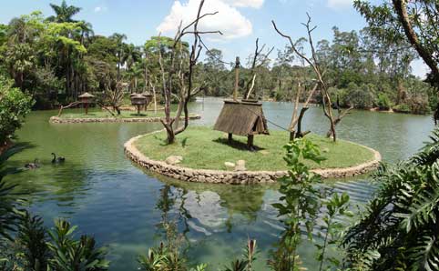 Zoológico de São Paulo