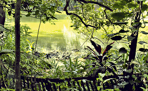 Parque Burle Marx