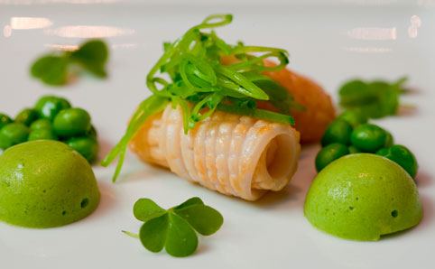 Squid with pea rolls