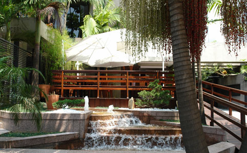 The leafy patio at Sushi Deck